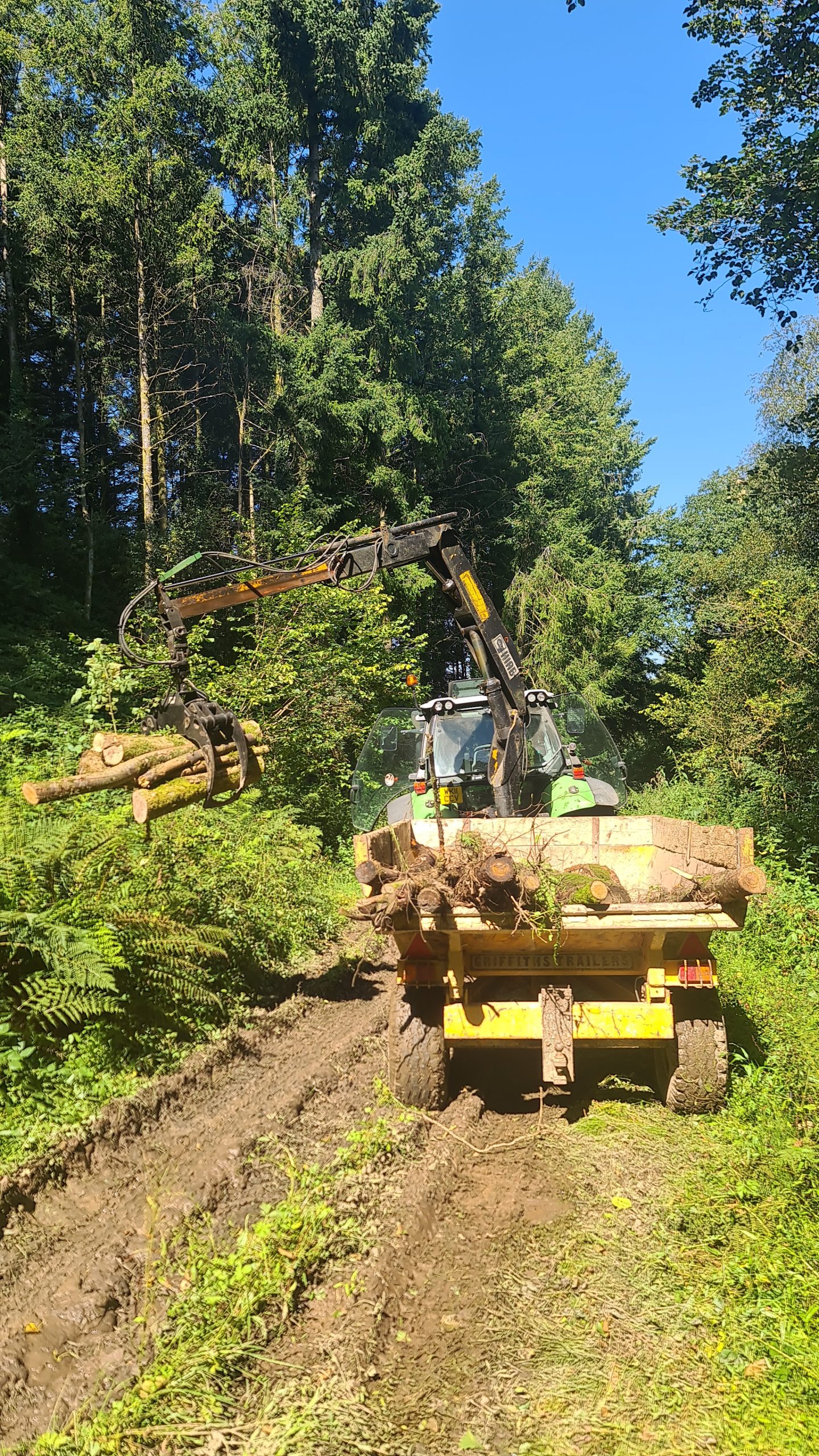 Firewood and log transport Firewood and log transport